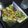 くっきもん's cooksnap of when they made 豆腐のピザ.