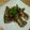 雛朶さん's cooksnap of when they made さんまの香草パン粉焼き.