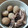 ヒヨコママ♪'s cooksnap of when they made 簡単♪いかと里イモの煮物.