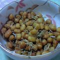 べらのってぃ's cooksnap of when they made 大豆とちりめんじゃこ炒め.