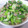 あっくんママyuki's cooksnap of when they made 塩そぼろと小松菜の生姜炒め.