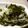 maruru-nn's cooksnap of when they made わかめとダイコンの酢の物.