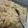 Ｃ—ＧＪＭ—ＭＫＴ's cooksnap of when they made セロリごはんの牛肉ぞえ。.
