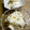 maruru-nn's cooksnap of when they made 水切りヨーグルトと苺のアイス.