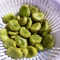 maruru-nn's cooksnap of when they made ☆簡単☆そら豆のおいしいゆで方.