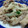せいかりん1118's cooksnap of when they made 塩麹で簡単>>豚とニンニクの芽炒め.