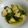 minami7373's cooksnap of when they made 水菜と鶏肉の煮びたし.