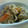 cocoineco's cooksnap of when they made ＊切り干し大根具だくさん炒め煮.