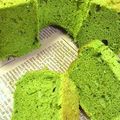 山カズ's cooksnap of when they made 抹茶のシフォンケーキ.