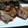 ダックス★ケンチロ's cooksnap of when they made 鶏ソテー　おろシソわさびソース.