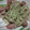 ほみた52's cooksnap of when they made もやしのマヨポン炒め.