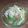 Raiｒeo's cooksnap of when they made ✿塩昆布で　簡単サラダ✿.