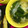 ナギヤ1114's cooksnap of when they made ☆玉ねぎと卵のお味噌汁☆.