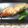 Chokoモンブラン's cooksnap of when they made お花見弁当に❀柚子胡椒香る鮭の塩麹焼き.