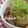 *優陽*'s cooksnap of when they made 長いもベーコンさっぱり炒め.