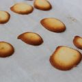 ちびいぬいぬ's cooksnap of when they made 卵白消費のサクサククッキーざんす.