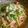 marilin36's cooksnap of when they made トマトと水菜のさっぱりパスタ♪.