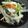 yanguchi's cooksnap of when they made すし酢で✿コイワシの南蛮漬け風.