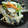 yanguchi's cooksnap of when they made すし酢で✿コイワシの南蛮漬け風.