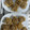 ゆかわち's cooksnap of when they made 我が家の手作り焼売.