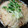 かぴーな's cooksnap of when they made 簡単冷やし中華のタレ.