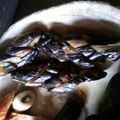 のぶなお７'s cooksnap of when they made 野菜の味噌漬け.