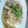 めい太＆ぽこ太's cooksnap of when they made 豆腐の和風きのこあんかけ.