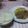 johnny0628's cooksnap of when they made 生姜焼きにぴったり！美味しいキャベツ♪.