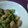 そもそもさん's cooksnap of when they made 隠し味はお酢！ゴーヤと鶏肉の旨味噌炒め.