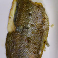 dori-'s cooksnap of when they made イサギの塩焼き.