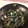 ボチボチハラハラ's cooksnap of when they made W黒ごまで～もやし炒め.