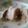 ふわぽん's cooksnap of when they made 我が家のロールキャベツ.