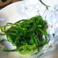 たくやときみこ's cooksnap of when they made 【簡単】おかひじきの生姜めんつゆ和え.
