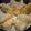kage_asu's cooksnap of when they made 野菜たっぷり！そうめんの生春巻き.