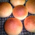 hellohikaru's cooksnap of when they made 可愛い丸パン♡わかりやすい手捏ね付き.