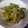 ちたぴよ's cooksnap of when they made 直煮で！くたくたインゲンとツナの煮物.