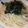 nekommi's cooksnap of when they made カロリー↓ イカ明太子パスタ☆彡.