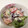 ゆうひな♪'s cooksnap of when they made トマトとレタスのマスタードマヨ.