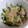 まやここぴんく's cooksnap of when they made もやしときゅうりの中華和え.