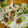 樹薇ん's cooksnap of when they made アボカドとトマトの☆わさマヨサラダ.