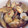 yy1525's cooksnap of when they made 速攻!!めんつゆでアサリの酒蒸し.