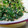 hixromi's cooksnap of when they made ほうれん草の胡麻和え.