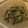華舞蘭's cooksnap of when they made 楽うま！！ほうれん草とツナのサラダ.