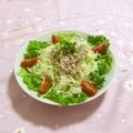 赤い電話's cooksnap of when they made 簡単☆キャベツとツナのマヨサラダ.