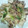 じぇしか・しゃな's cooksnap of when they made レンコンと豚肉のオイマヨ炒め.