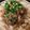 くまのまるちゃん's cooksnap of when they made ☆肉うどん☆.