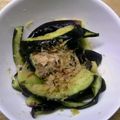 hichite's cooksnap of when they made ☆塩麹とめんつゆで作る☆茄子のお漬物.