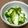 Ｒｉｅｃｏ's cooksnap of when they made きゅうりと青じそしょうがの漬物.