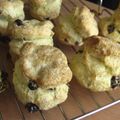はるるまりり's cooksnap of when they made 胡桃入りカントリー風スコーン♪.