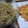 やまべにじこ's cooksnap of when they made クラゲの中華和え.